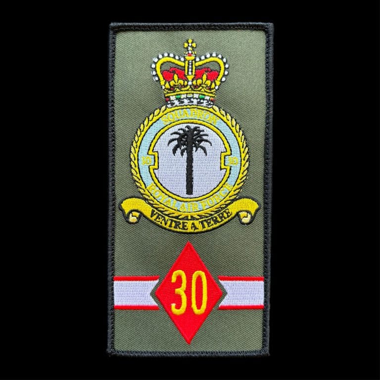 30 Squadron RAF FACS Patch - Runway25