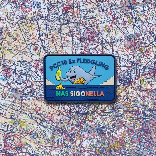 42 Sqn PCC 15 Ex Fledgling PVC Patch