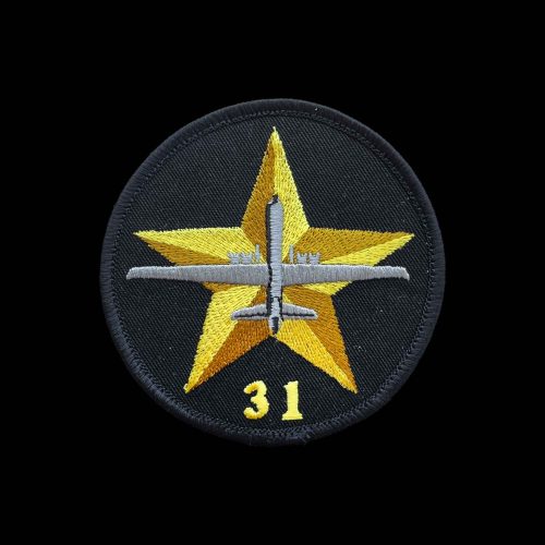 31 Sqn Patch