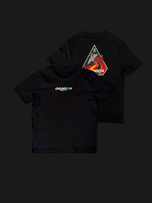 Dragon01 Black Kids T-shirt