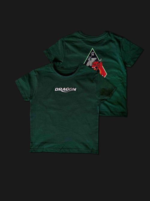 Dragon01 Green Kids T-shirt