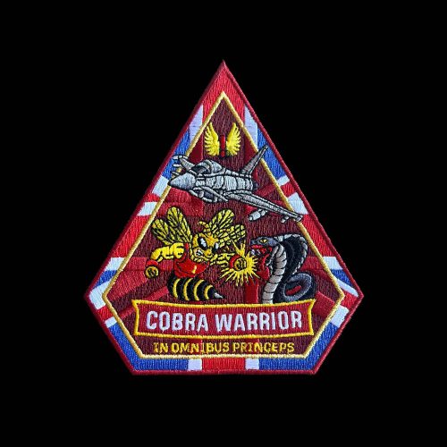 1(F) Sqn Ex Cobra Warrior Spearhead Patch