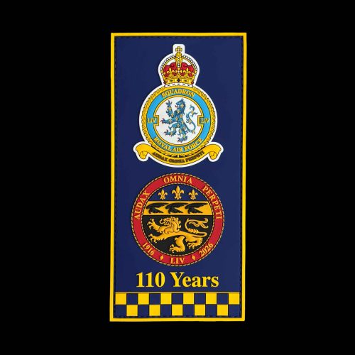 54 Sqn 110th Anniversary PVC FACS Patch