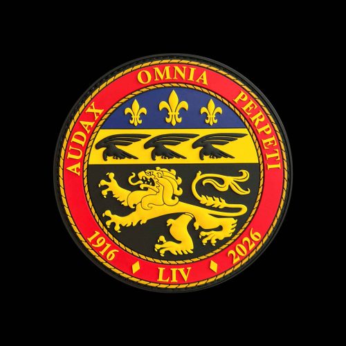 54 Sqn 110th Anniversary PVC circle Patch