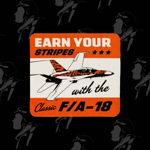 Classic Hornet Collection:F-18 Earn Your Stripes
